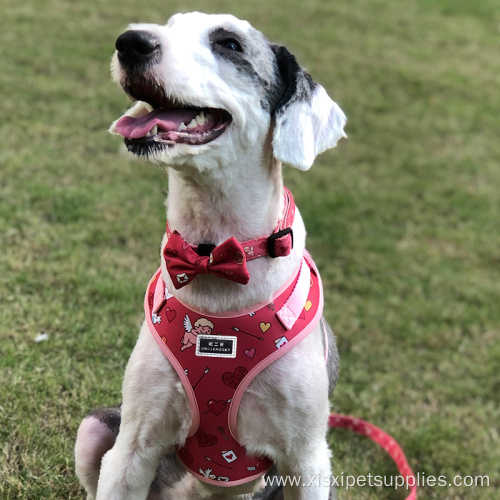 Adjustable Faux leather Pet Collar And Leash Set